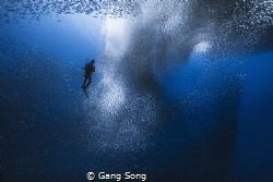sardine nebula by Gang Song 